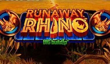 Runaway Rhino