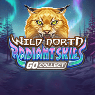 Wild North Radiant Skies Go Collect game screenshot